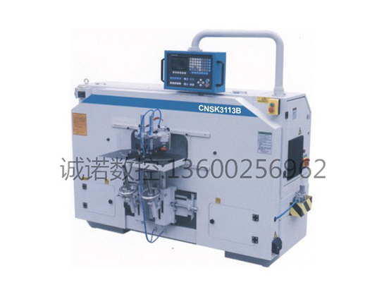 数控榫头机CNS...